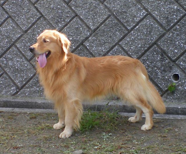 arufu-0928-1.jpg