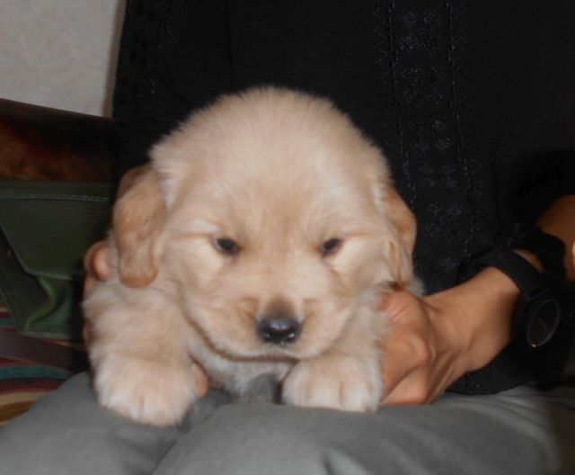 amin-0714-1m.jpg