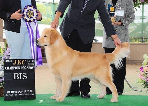 hachi-0716-1.jpg