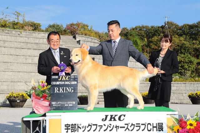 hachi-0716-2.jpg