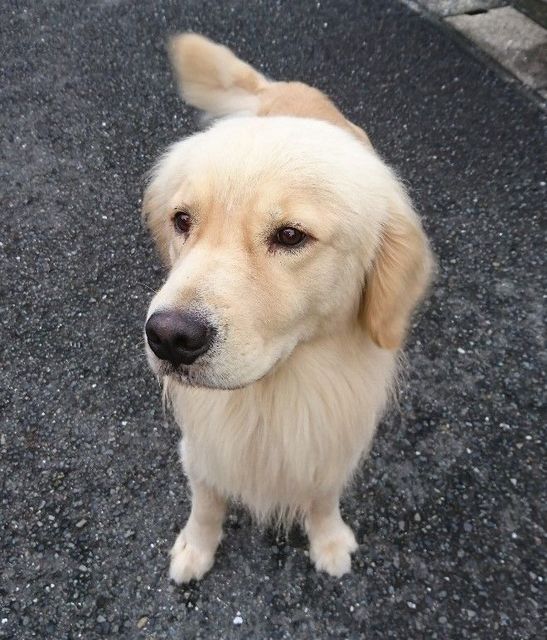 hachi-0722-1.jpg