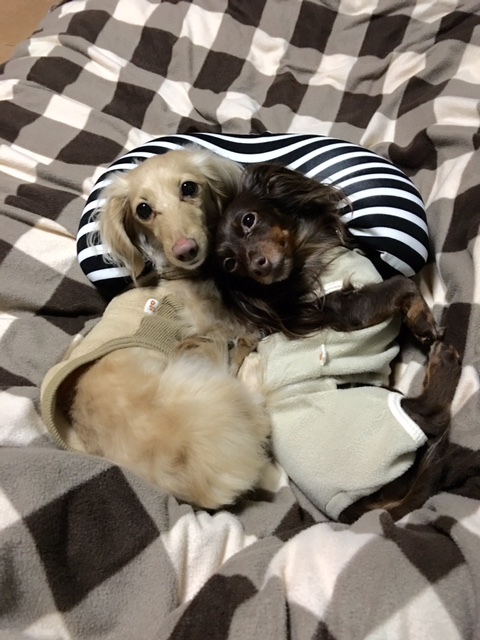 image1.jpeg