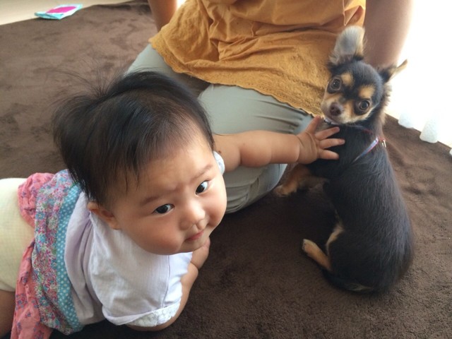 kaito-0805-1.jpg