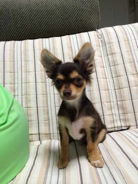 kaito-0805-2.jpg