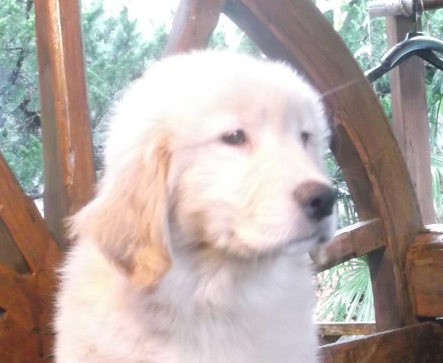 koharu-0413.jpg