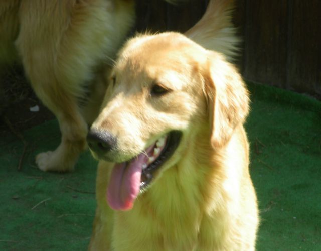 kyara0827-1.jpg