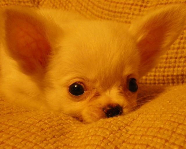 michiru-0912.jpg