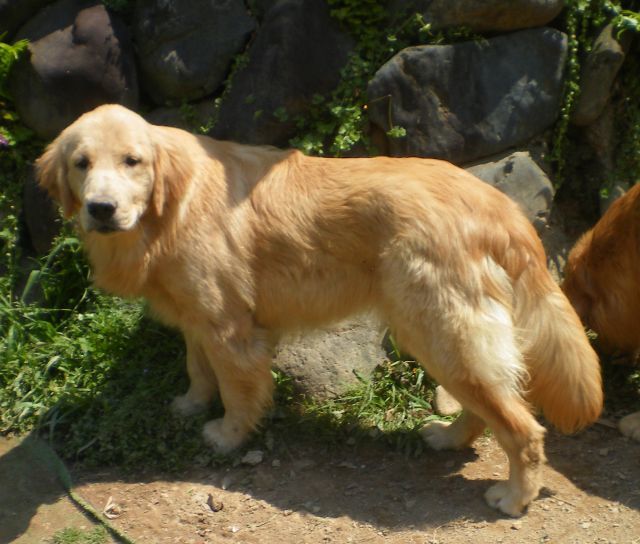 misya-0423.jpg