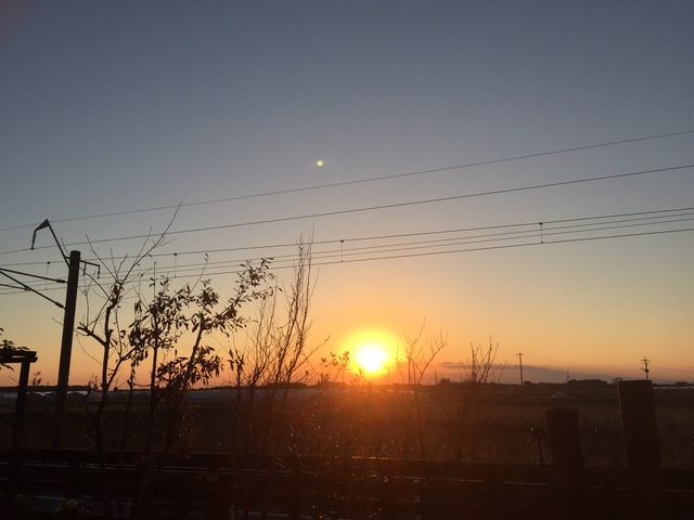 miyazaki-0101-2.jpg