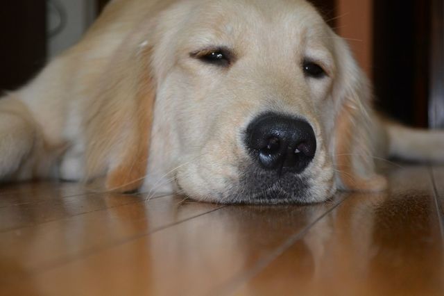 mory-1205-1.jpg