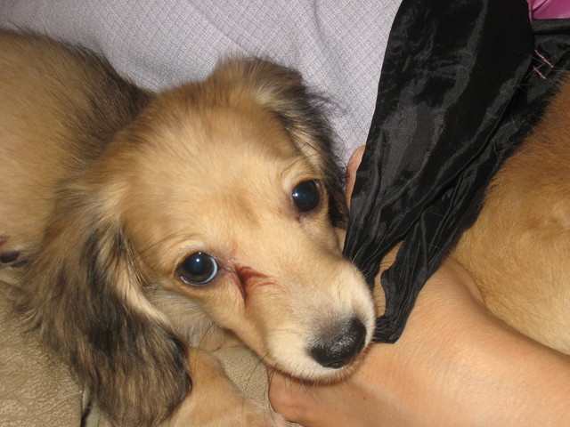 pa-ru-0907-2.jpg