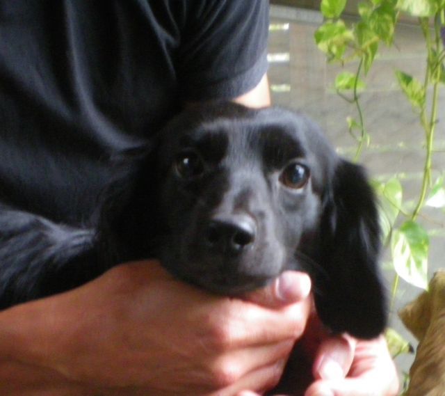 runy-1005.jpg
