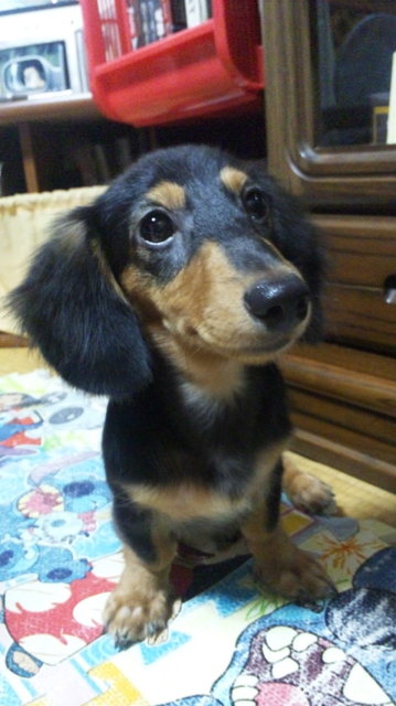 yuito-0828-1.jpg